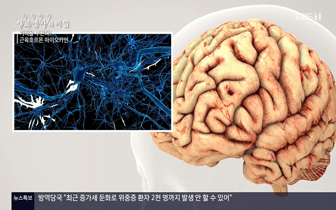 생로병사의 비밀.E816.220331p-NEXT.mp4_20220331_185211.826.jpg