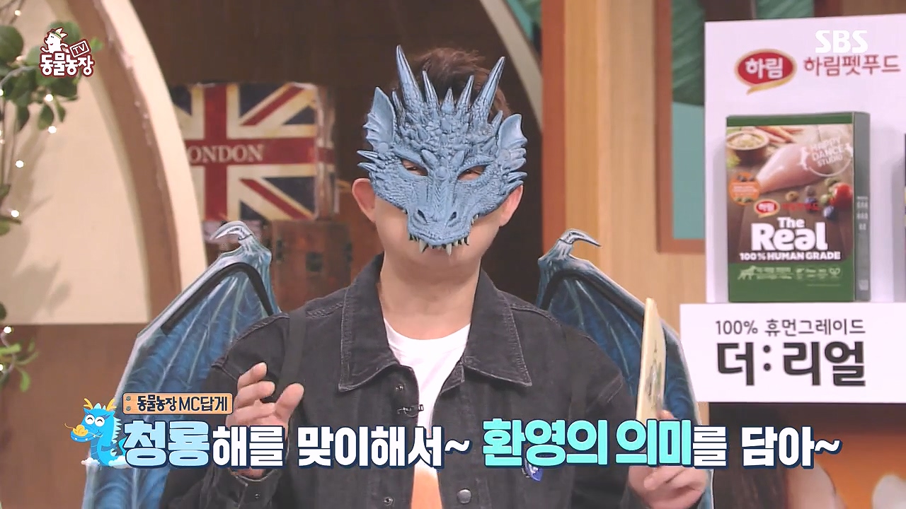 TV 동물농장.E1153.240108p-NEXT.mp4_20240107_173815.209.jpg