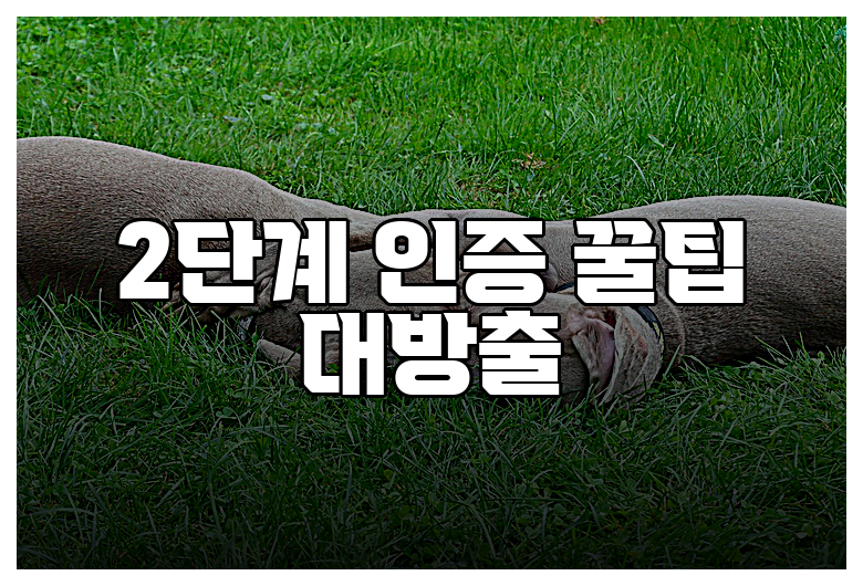 2단계 인증 꿀팁 대방출