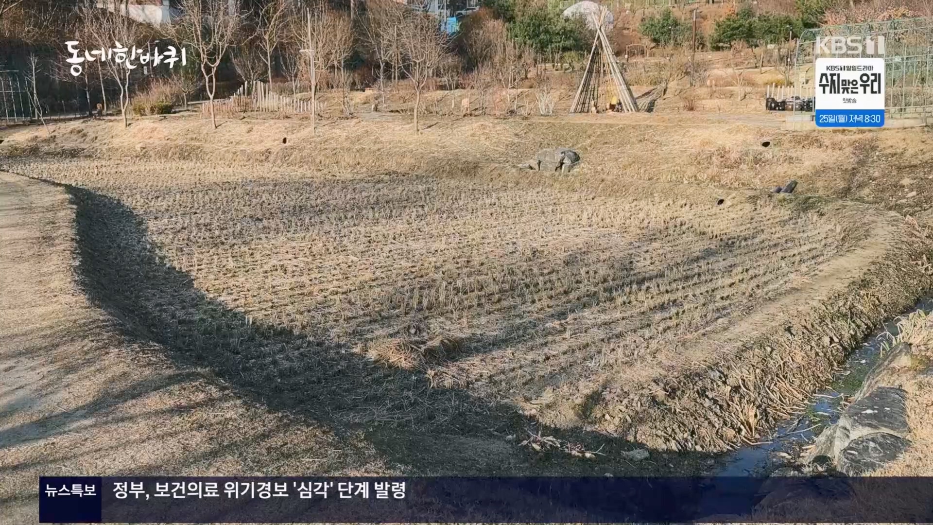 동네 한 바퀴.E263.240323p.H264-F1RST.mp4_20240327_195948.676.jpg