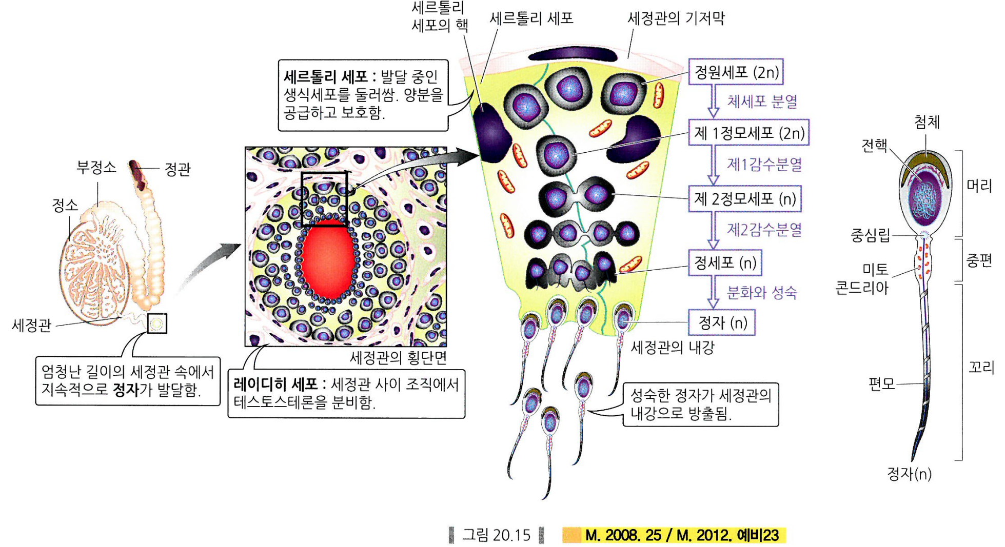 생식 요점정리 : 네이버 블로그, image size:1959x1067