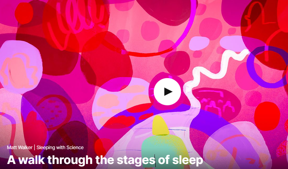  TED 테드로 영어공부 하기 A walk through the stages of sleep By Matt Walker