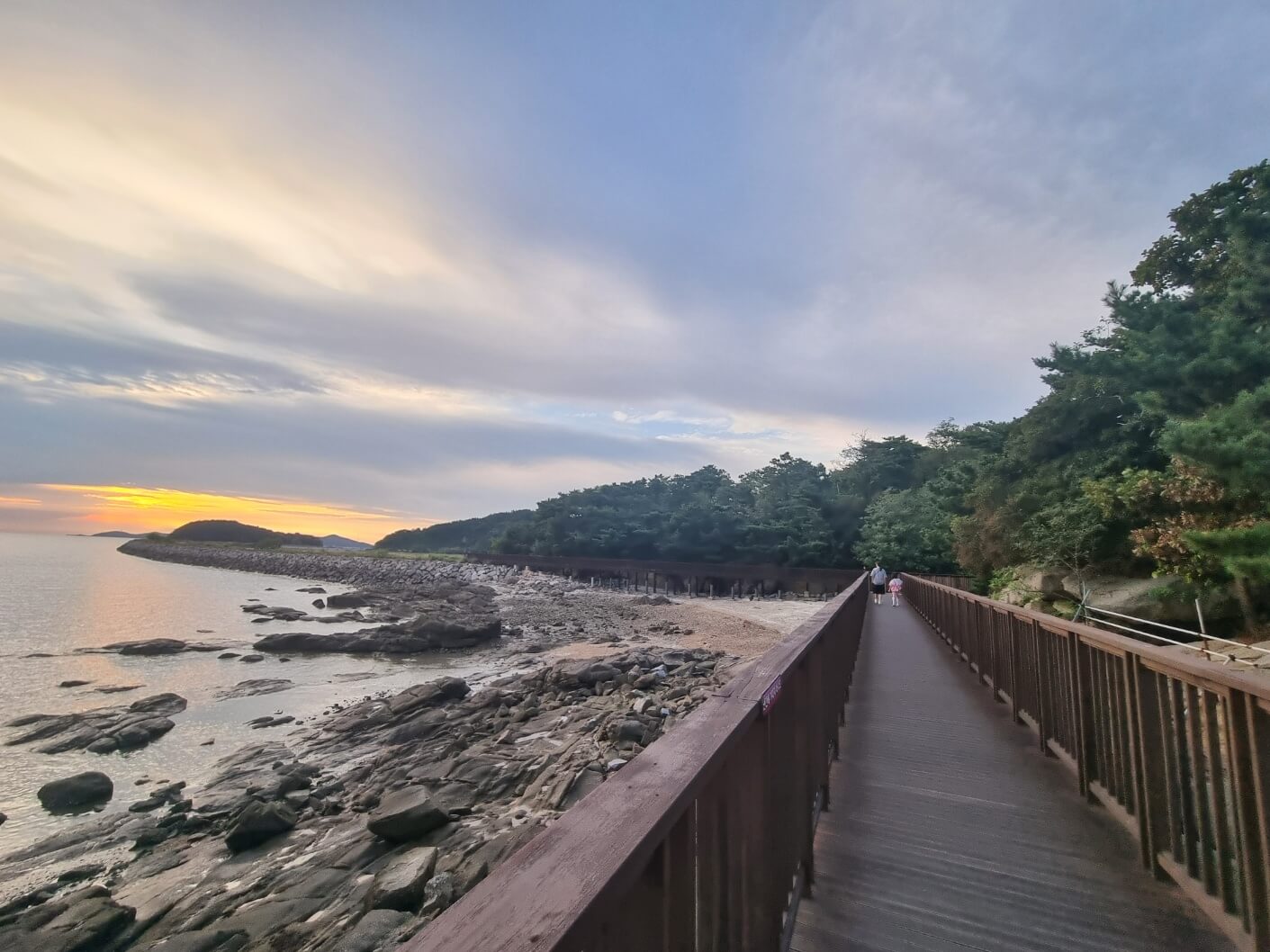 [가을 여행 추천지] 신시모도 당일치기 / 배 시간표 / 하라보라 카페 / 숙박 펜션 정보