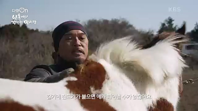[189회] 다큐온 - KBS남훈 씨의 각별한 말 사랑] 연평균 1400여 마리의 경주마들이 경마장을 떠나 퇴역 경주마가 된다.ts_20230330_211151.024.jpg