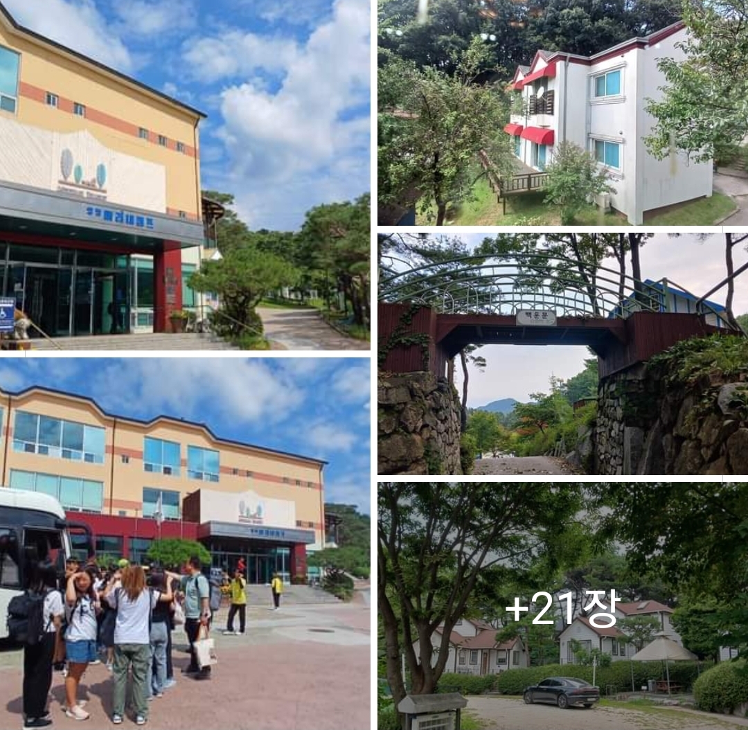 보정식품 이미지