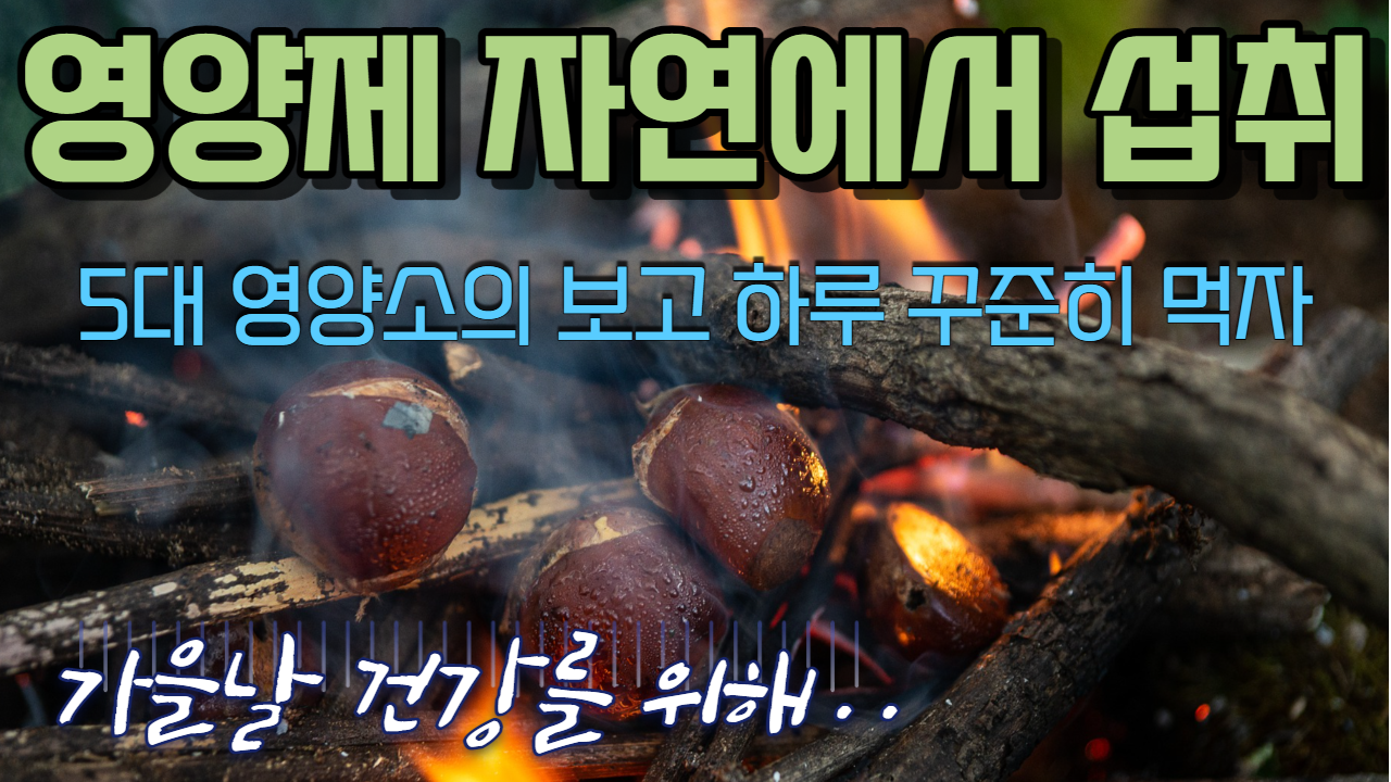  밤의 효능