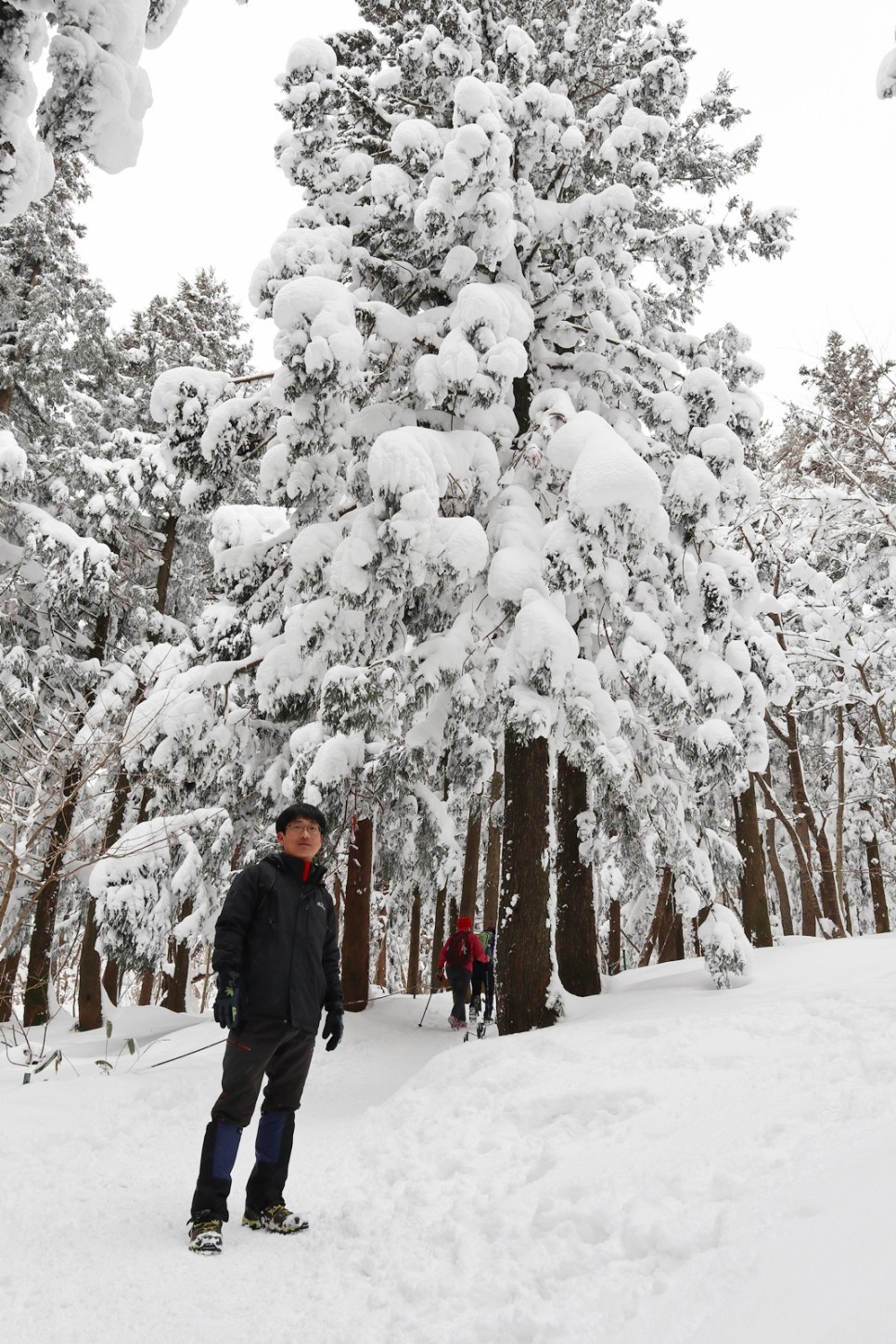 눈쌓인 겨울산 이미지 29