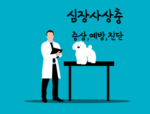  강아지 심장사상충 증상,진단,예방