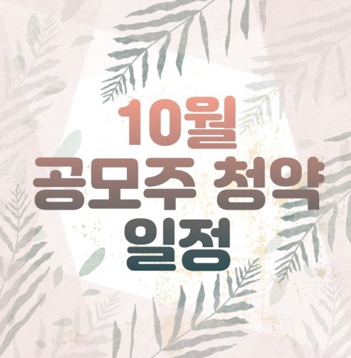 10월 공모주 청약일정