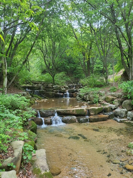 김해 상동면 장척계곡