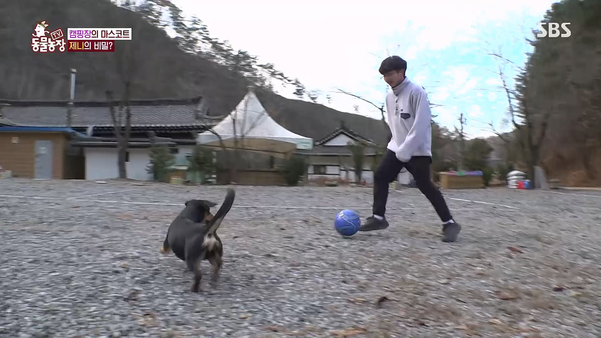 TV 동물농장.E1106.230129p.H264-F1RST.mp4_20230130_192742.117.jpg