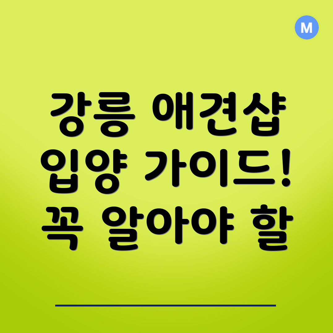 애견 분양