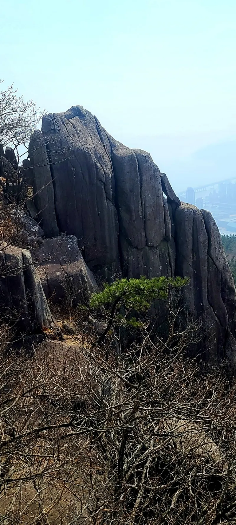 부산 장산