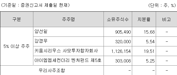 에스켐 지분 구조