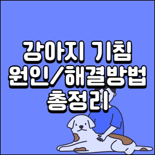 개 기침 원인 개 기침 원인 개 기침 약 개 기침 증상 개 기침 유형 개 기침