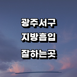 광주 서구 지방흡입