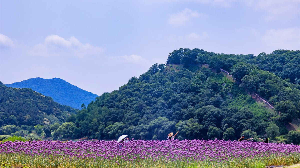 공주 미르섬