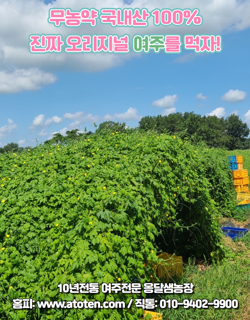 강일성모내과 이미지