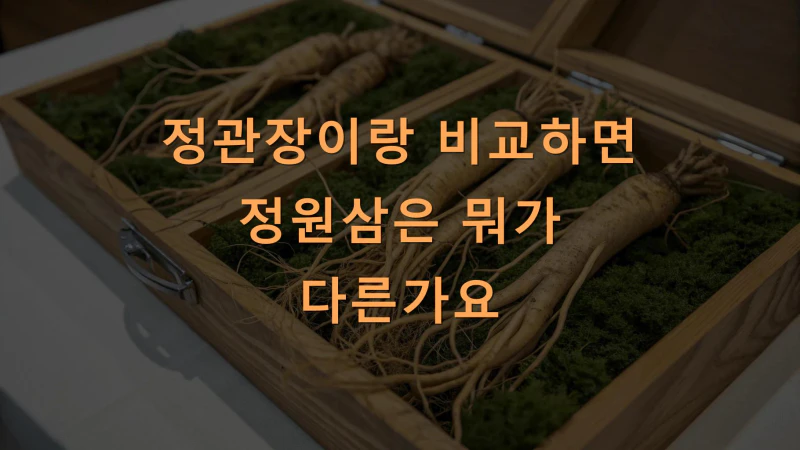 정관장이랑 비교하면 정원삼은 뭐가 다른가요