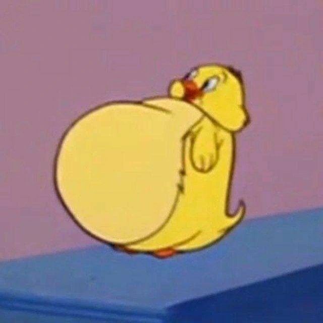 경아네 이미지