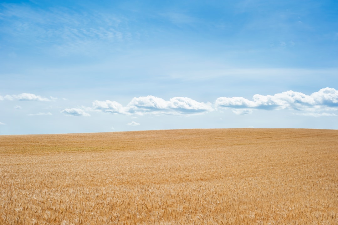 Land.