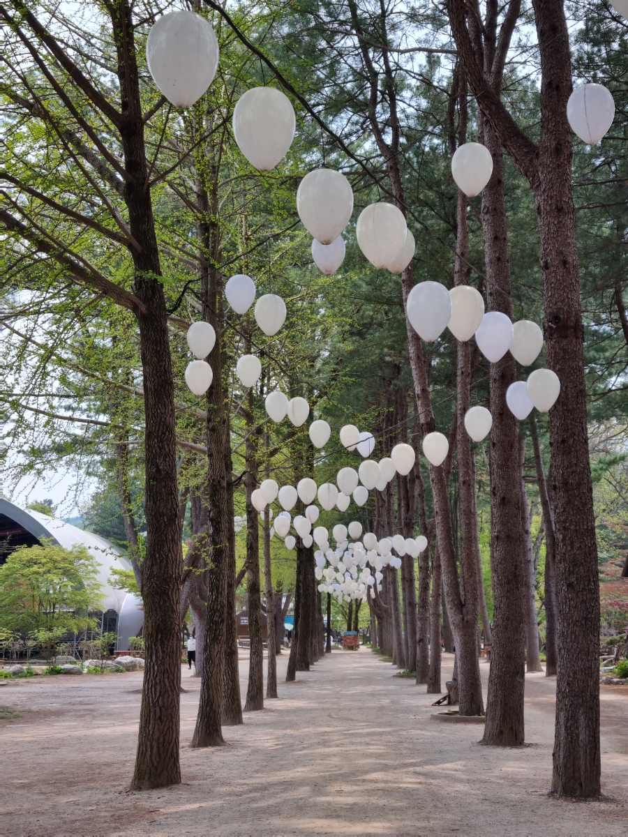 남이섬 배시간표 남이섬 배시간표, 할인 방법, 2