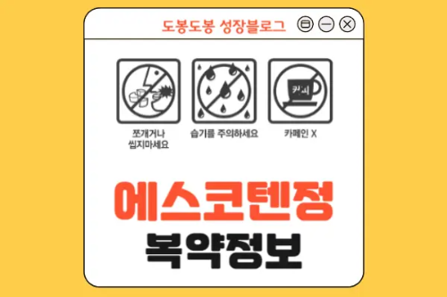 에스코텐정 복약 정보 이미지