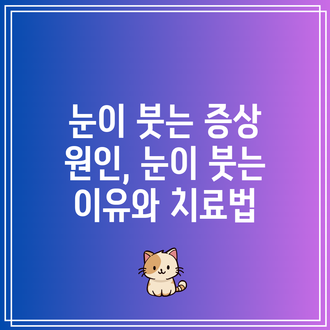 눈이 붓는 증상 원인, 눈이 붓는 이유와 치료법