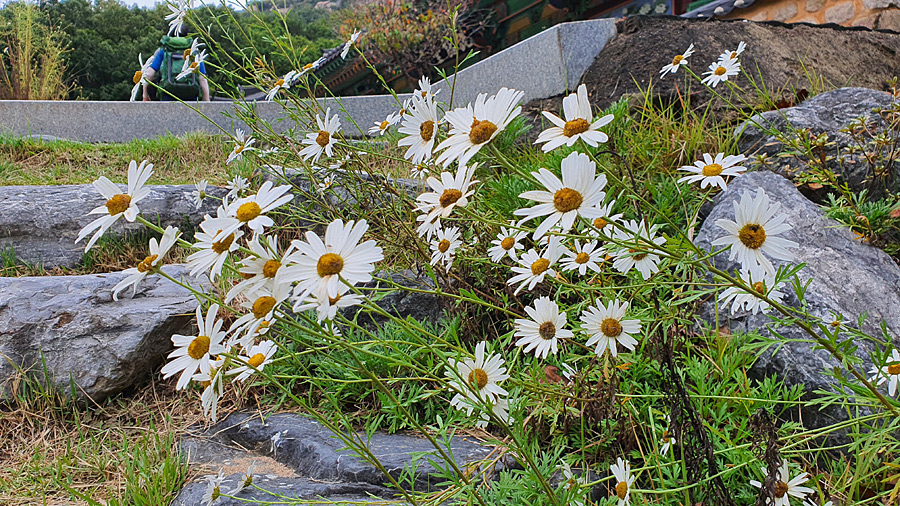 /초가을 풍경 도봉산 26