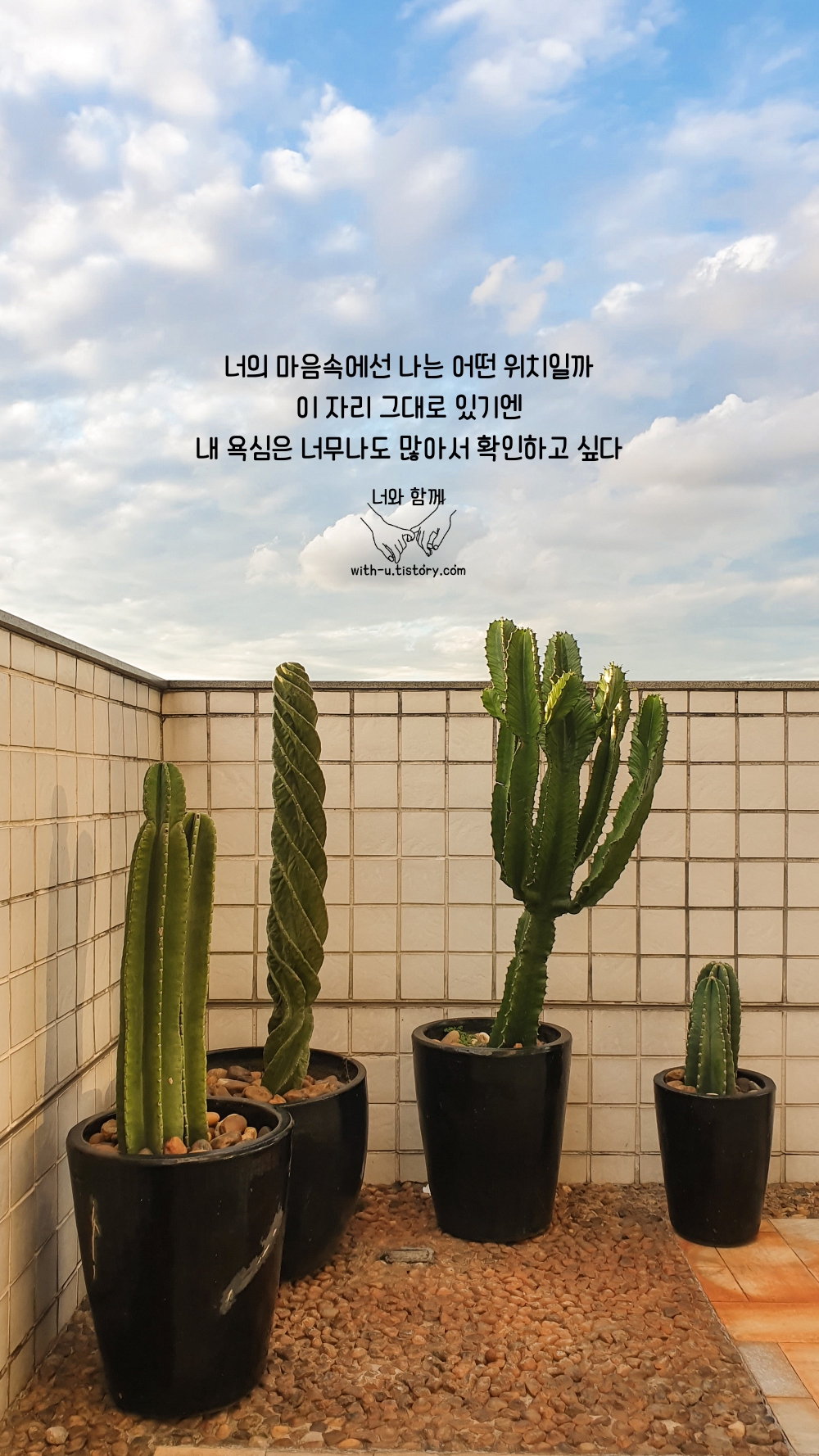  위치 명언 : 짧고 좋은 글귀 : 짧은 명언