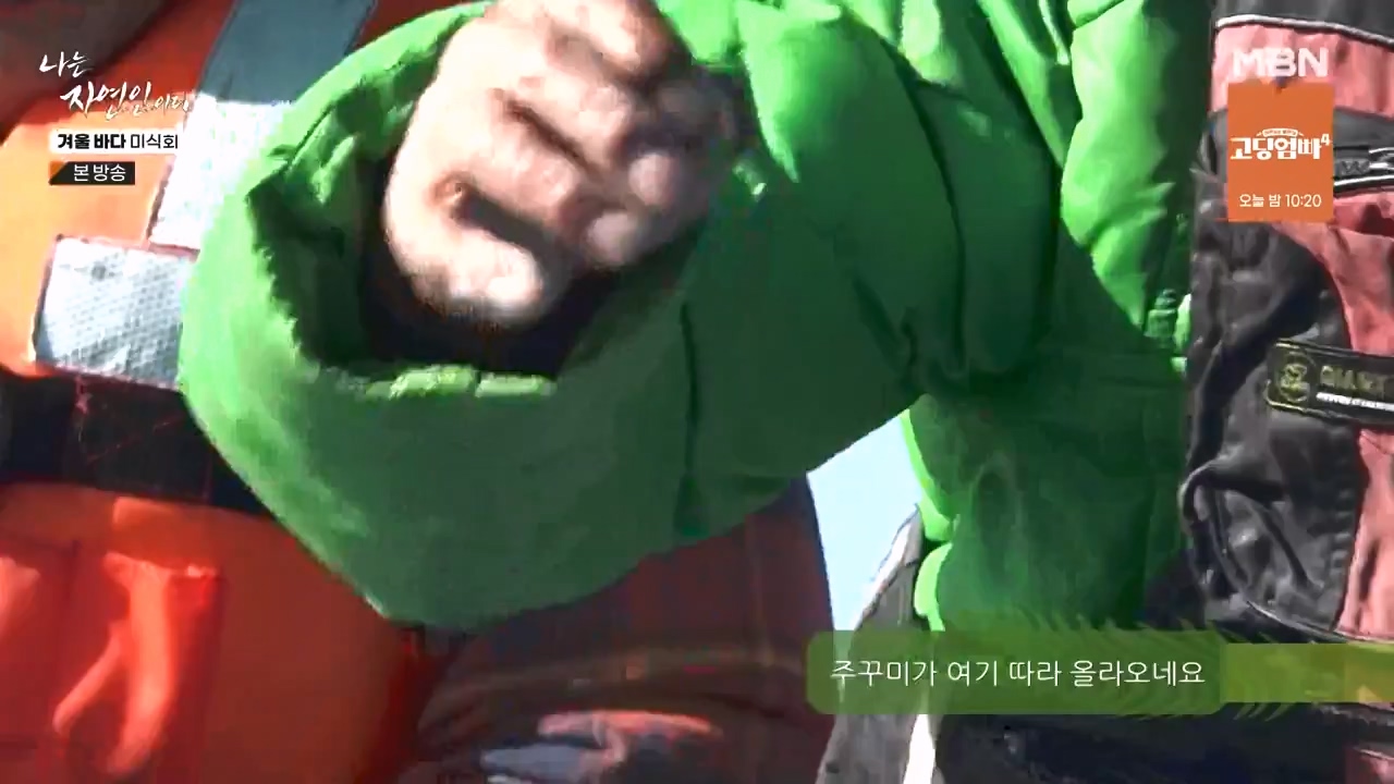 나는 자연인이다.E584.231214p-NEXT.mp4_20231214_194915.294.jpg