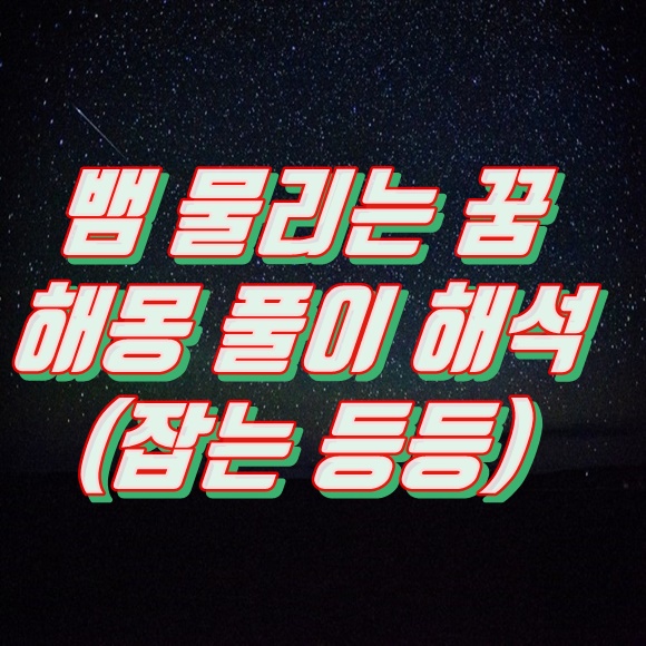  뱀 물리는 꿈 해몽 풀이 해석 (잡는 등)