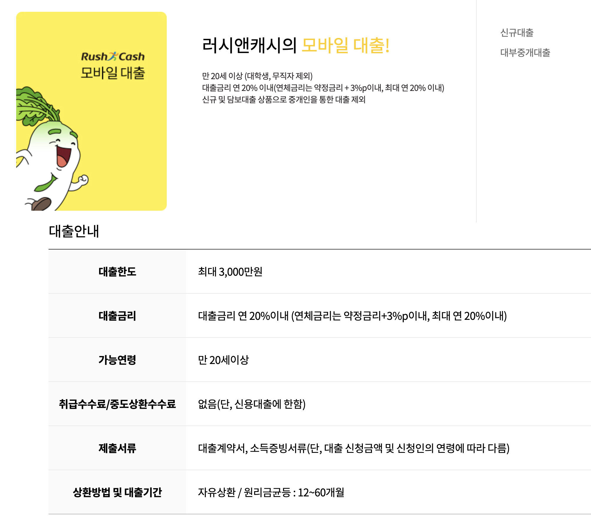 무직자 최대 3000만원 대출 추천 TOP3 - 러시앤캐시 신용대출 특징 무직자 최대 3000만원 대출 추천 TOP3 - 러시앤캐시 신용대출 특징