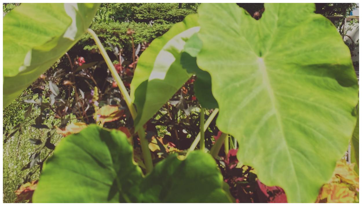 2023년 수산부산물 가공지원 사업