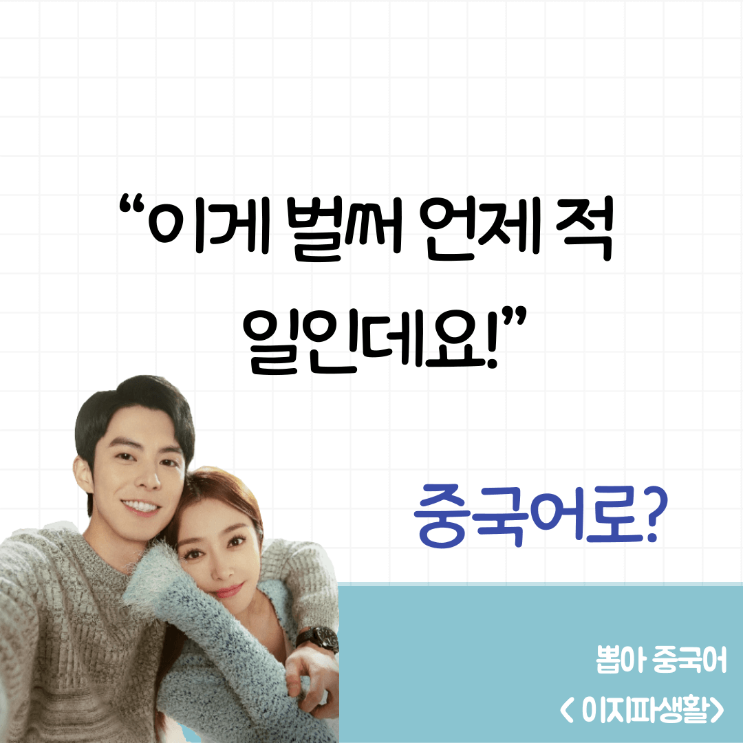이지파생활