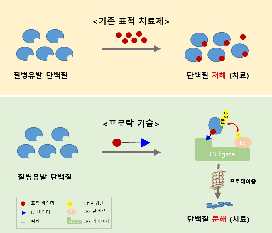 표적항암제