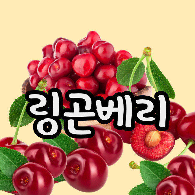  기름진 음식의 동반자 링곤베리