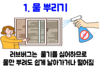 러브 버그 익충일까? (퇴치법)