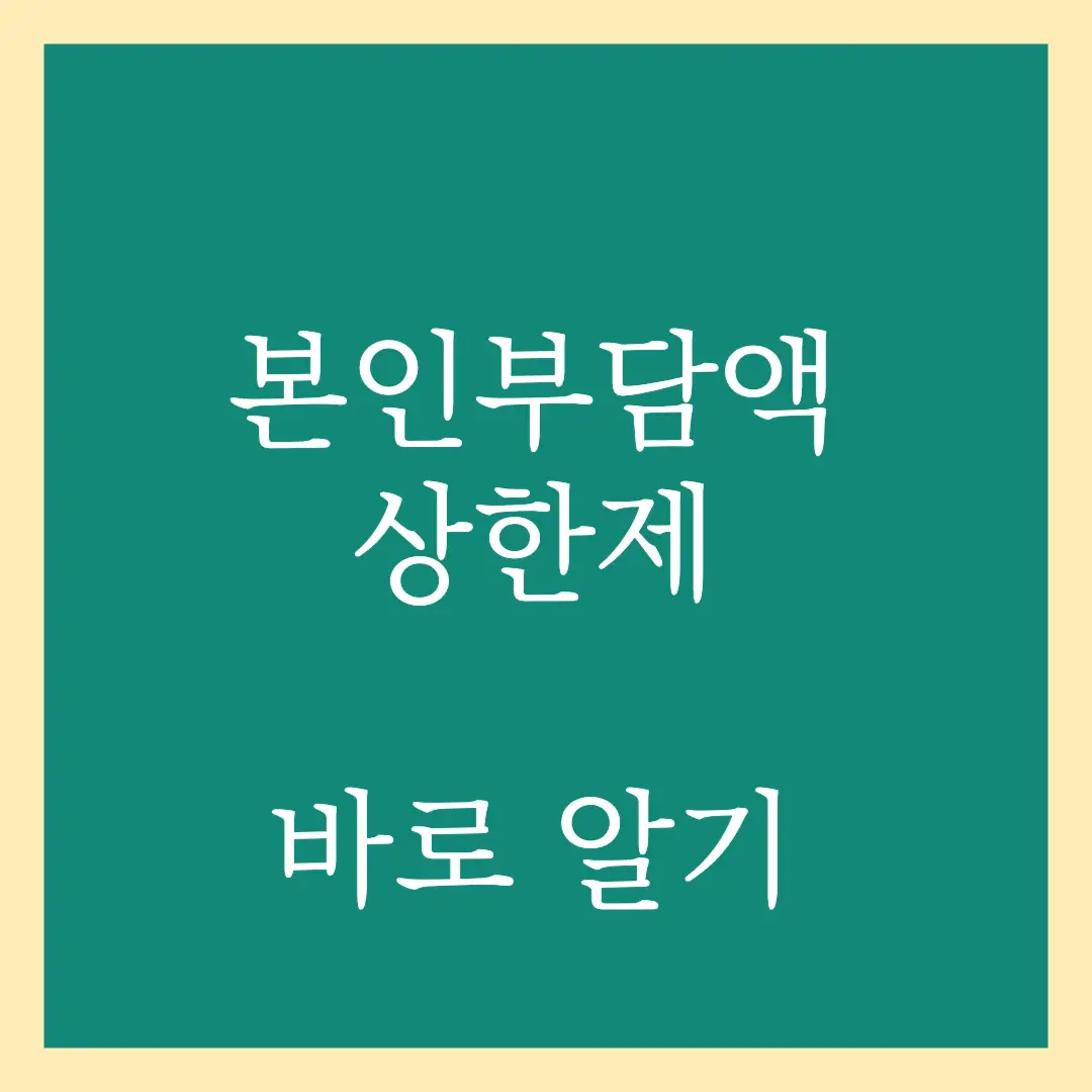 본인부담액상한제