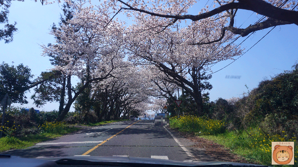 장전리