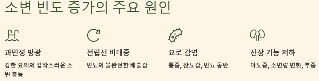 소변 빈도 증가의 주요 원인 예시