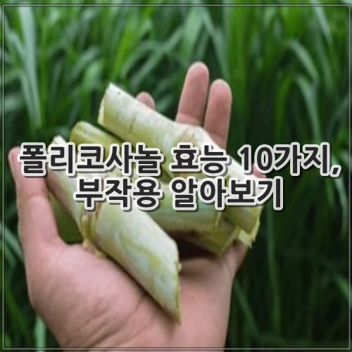 폴리코사놀 효능 10가지, 부작용 알아보기