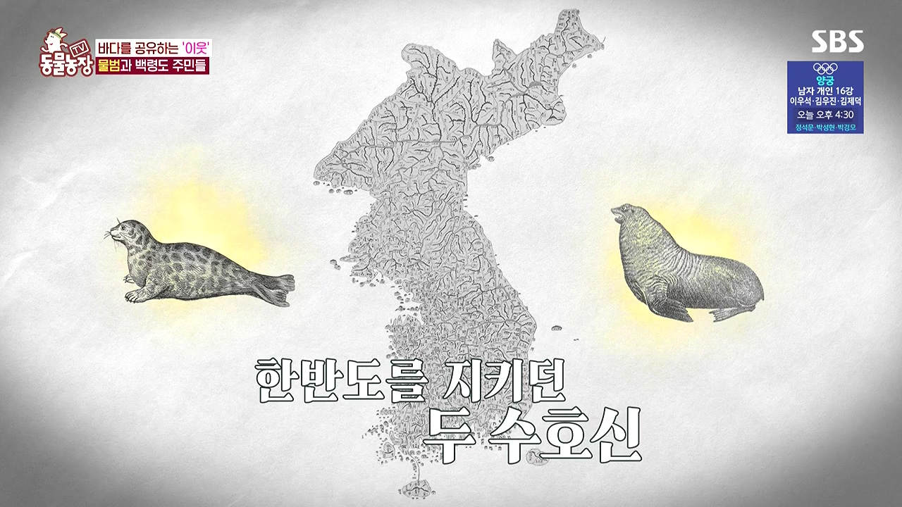 TV 동물농장.E1183.240805p-NEXT.mp4_20240804_154446.109.jpg