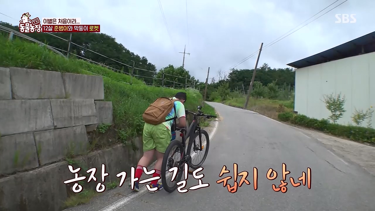TV 동물농장 1189화 다시보기.ts_20240922_161951.508.jpg