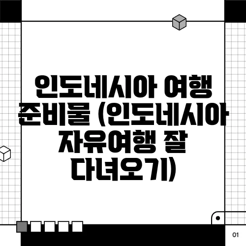인도네시아 여행 준비물 (인도네시아 자유여행 잘 다녀오기)