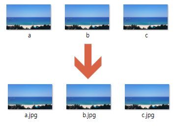파일의 확장자 확인하기-결과