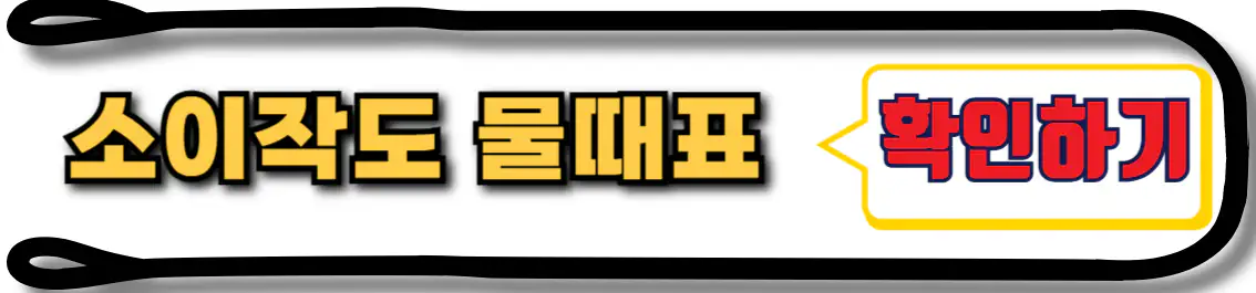 소이작도 물때표