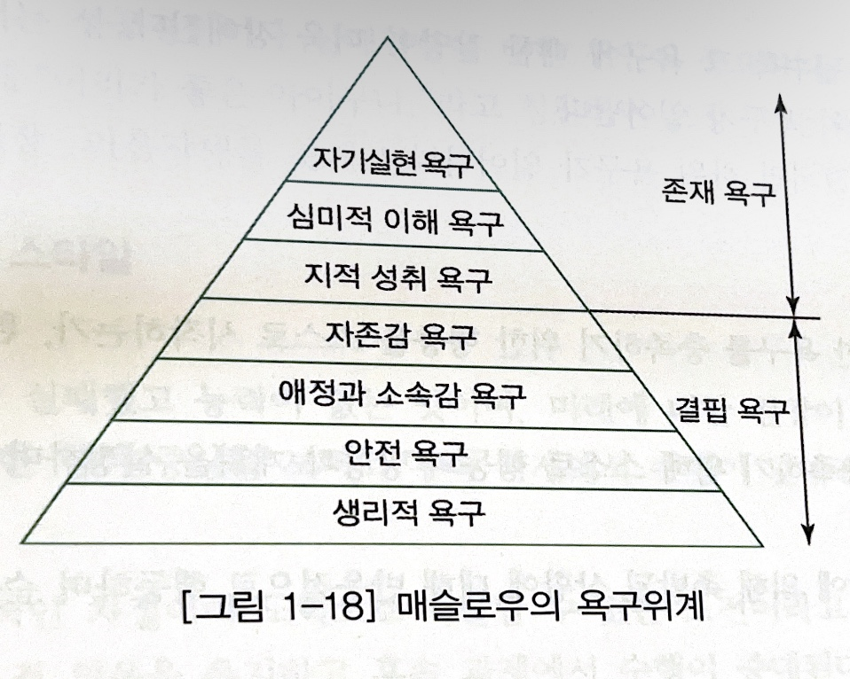 [임용] 성격심리학 : 성격과 동기 / 헐 / 돌라드 / 밀러 / ERG이론 / 귀인