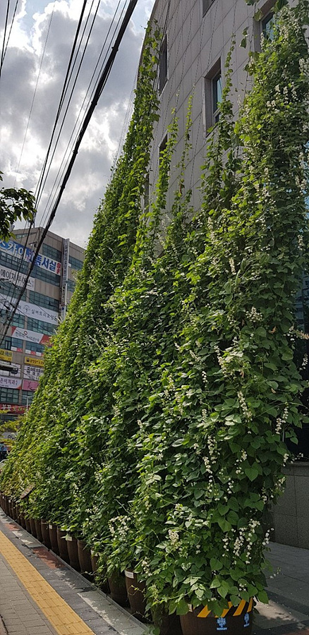 kbs1tv 다큐온 KBS1TV // 회천3동 생태그늘막 30