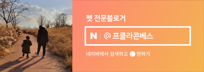 다빈치 [쁘띠 프랑스][이탈리아 마을] 3